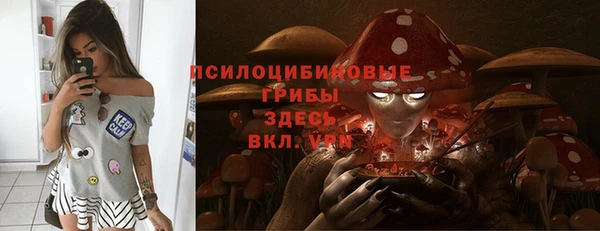 тгк Нязепетровск